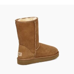 brown ugg boots